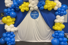 organic-balloon-garland-photo-backdrop